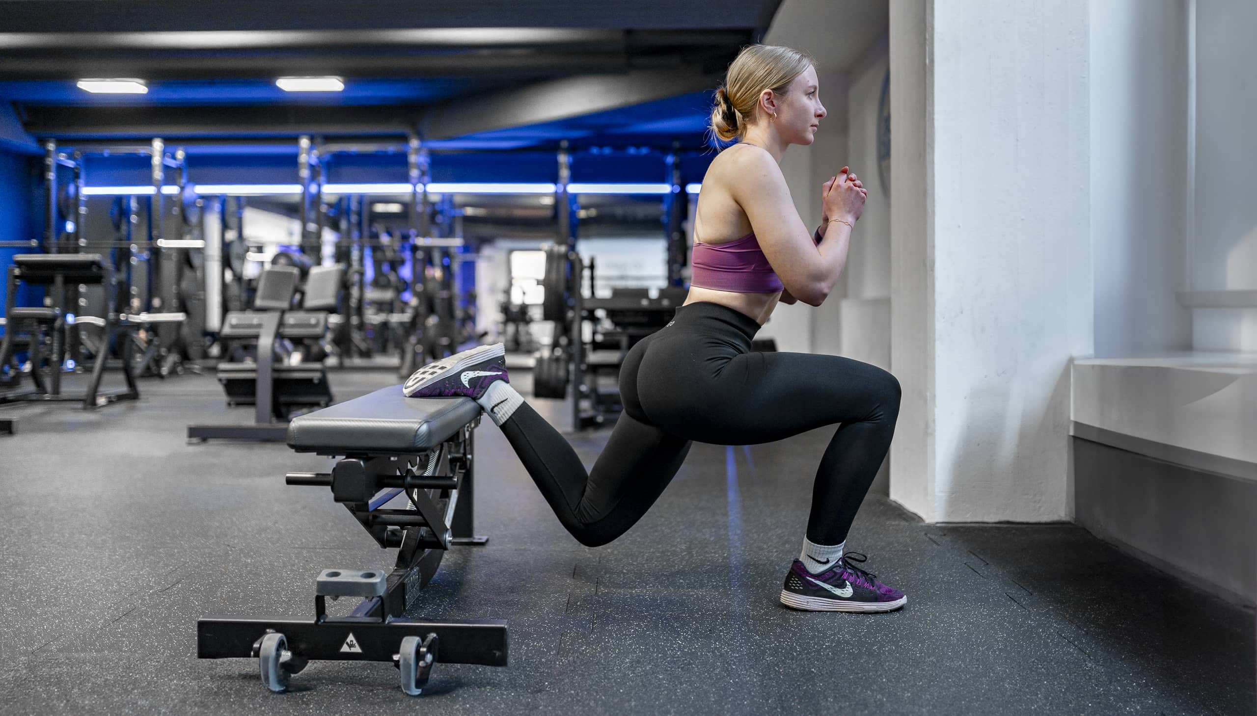 Hammer Strength Bereich